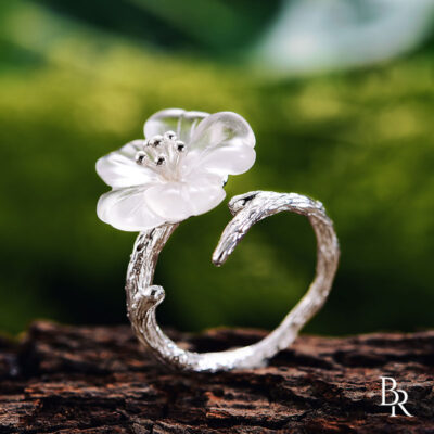 rainforest2
