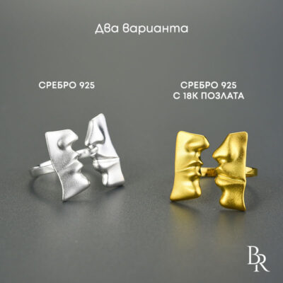 Vidove-srebarni-prasteni-Desire
